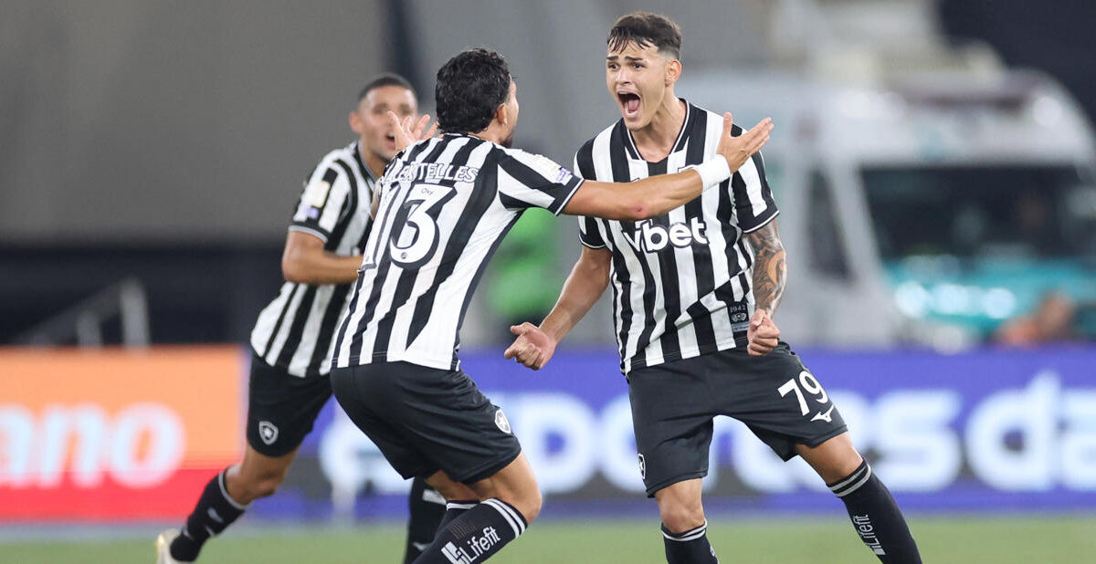 Jogadores do Botafogo comemoram gol na vitória contra o Santos pelo Brasileirão