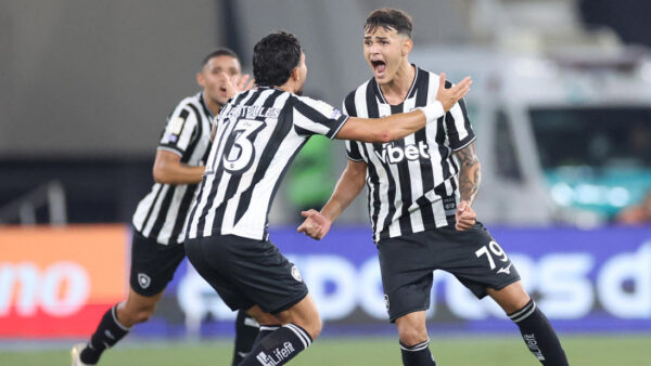 Jogadores do Botafogo comemoram gol na vitória contra o Santos pelo Brasileirão