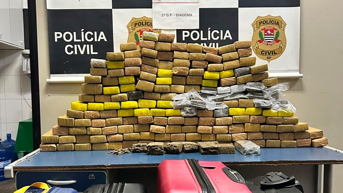 Tijolos de maconha apreendidos pela Polícia Civil em Diadema