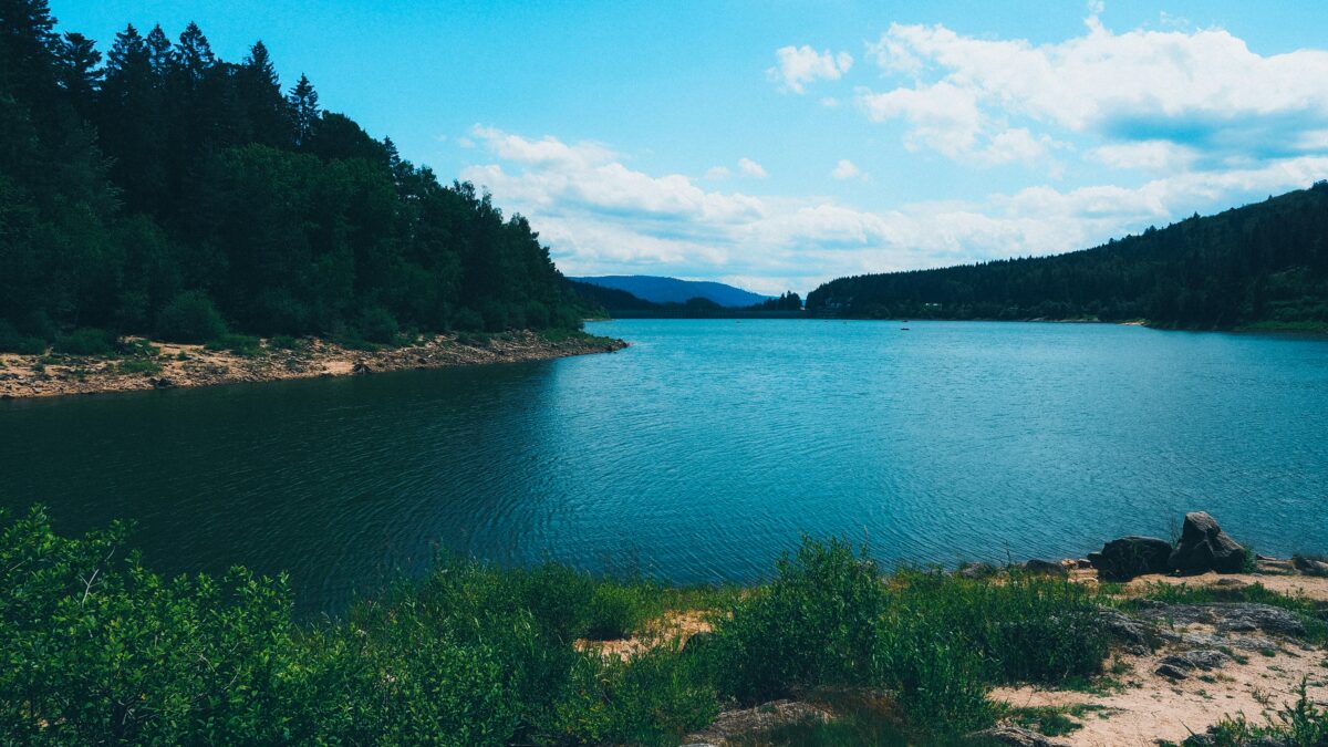 Represa Billings - lago