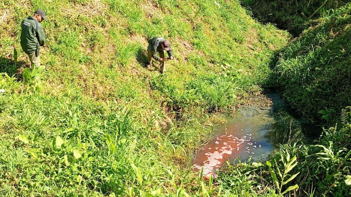 Fiscais do Semasa inspecionam córrego poluído em Santo André