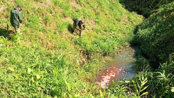 Fiscais do Semasa inspecionam córrego poluído em Santo André