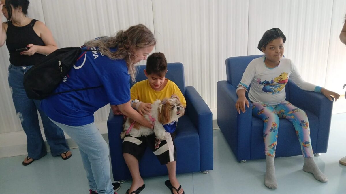 Cão terapeuta visita criança internada no Hospital de Urgência de São Bernardo