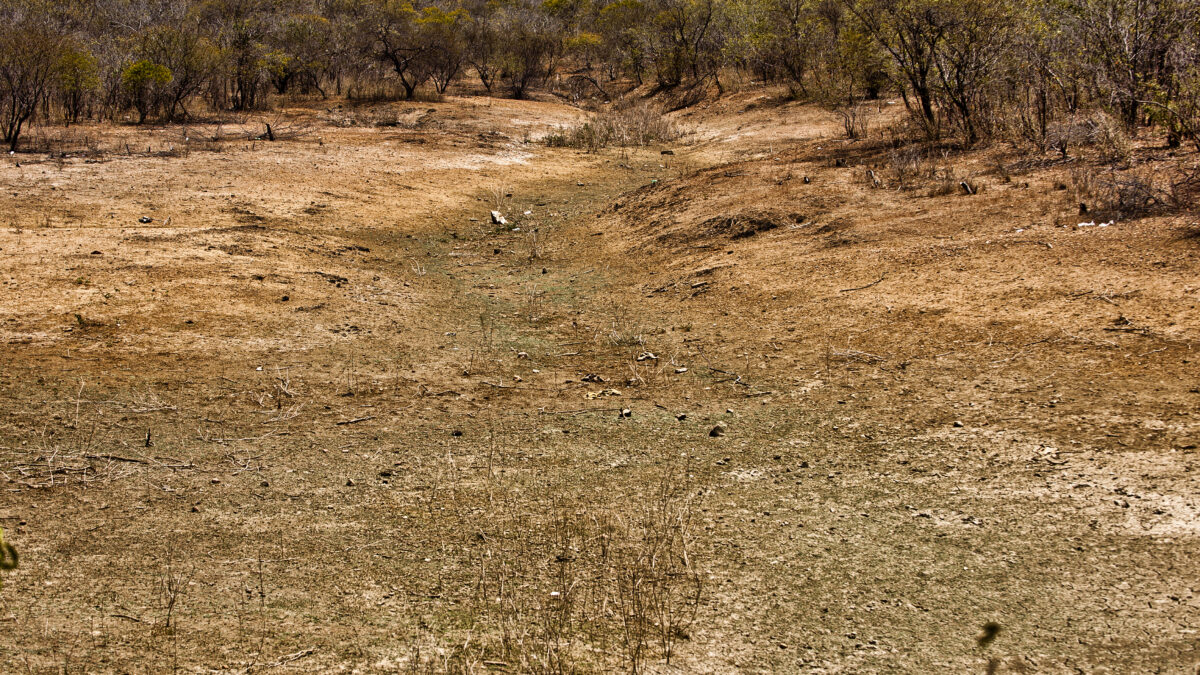 Estudo projeta até 127 dias de calor extremo por ano no Brasil até 2075