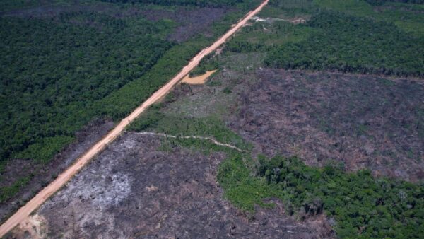Vista aérea de área desmatada na Amazônia ao lado de estrada de terra