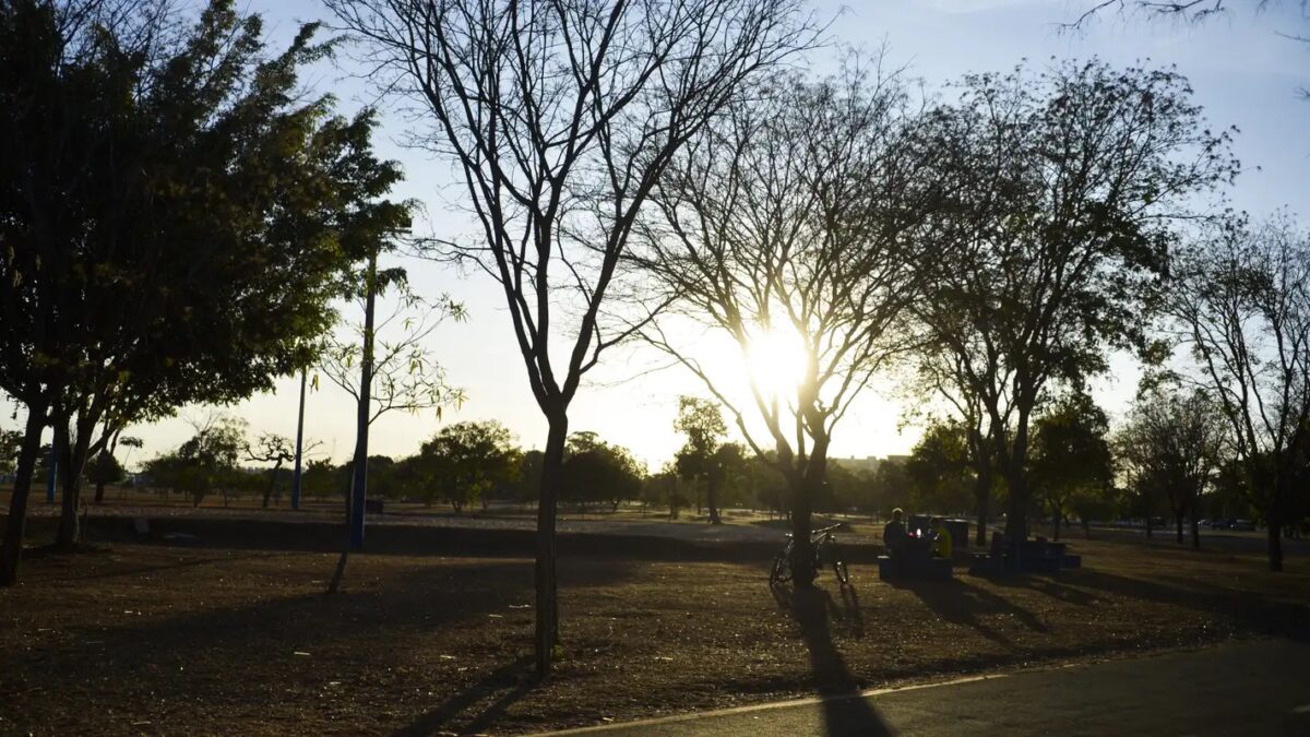 Parque com árvores secas e sol forte durante período de baixa umidade em Brasília
