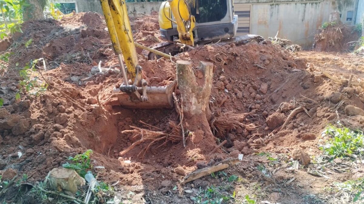Escavadeira remove terra e árvore nativa em área embargada pela Guarda Ambiental de São Bernardo