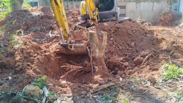 Escavadeira remove terra e árvore nativa em área embargada pela Guarda Ambiental de São Bernardo
