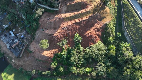 Vista aérea da área reflorestada no Parque Miami, em Santo André
