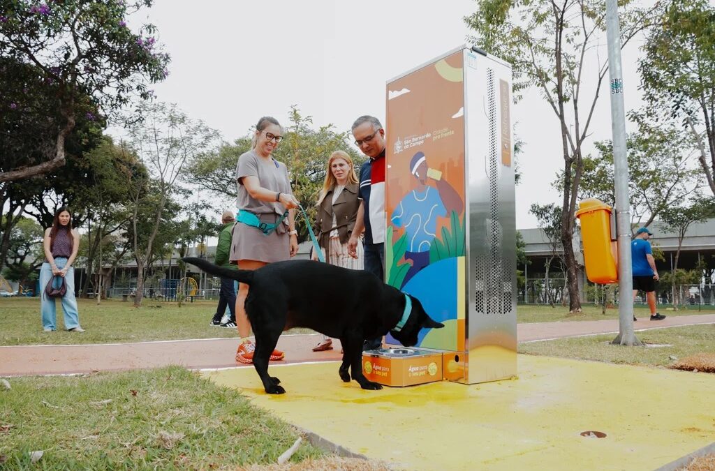 Moradores e cachorro usam novo bebedouro na Praça Ibrahim de Almeida Nobre em São Bernardo