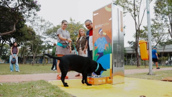 Moradores e cachorro usam novo bebedouro na Praça Ibrahim de Almeida Nobre em São Bernardo