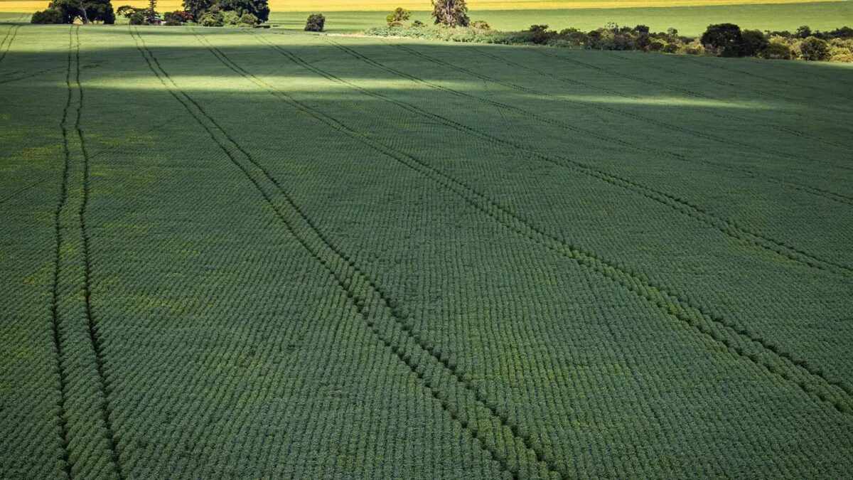 Vista aérea de plantação de soja em imóvel rural