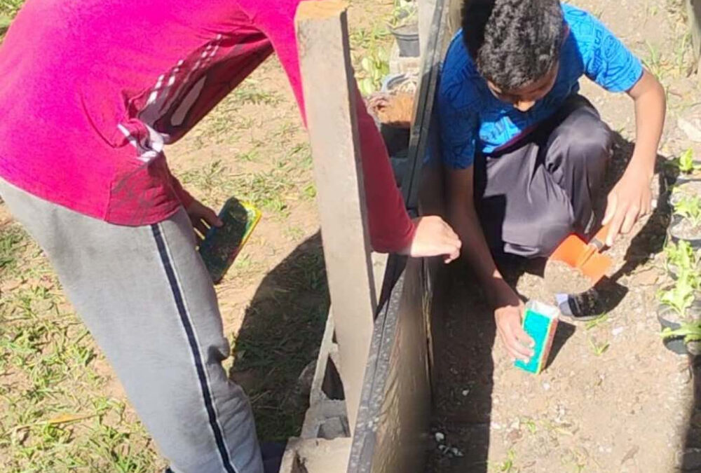 Jovens do projeto Bombeiro Mirim cuidam de horta durante curso de hortas urbanas em Mauá