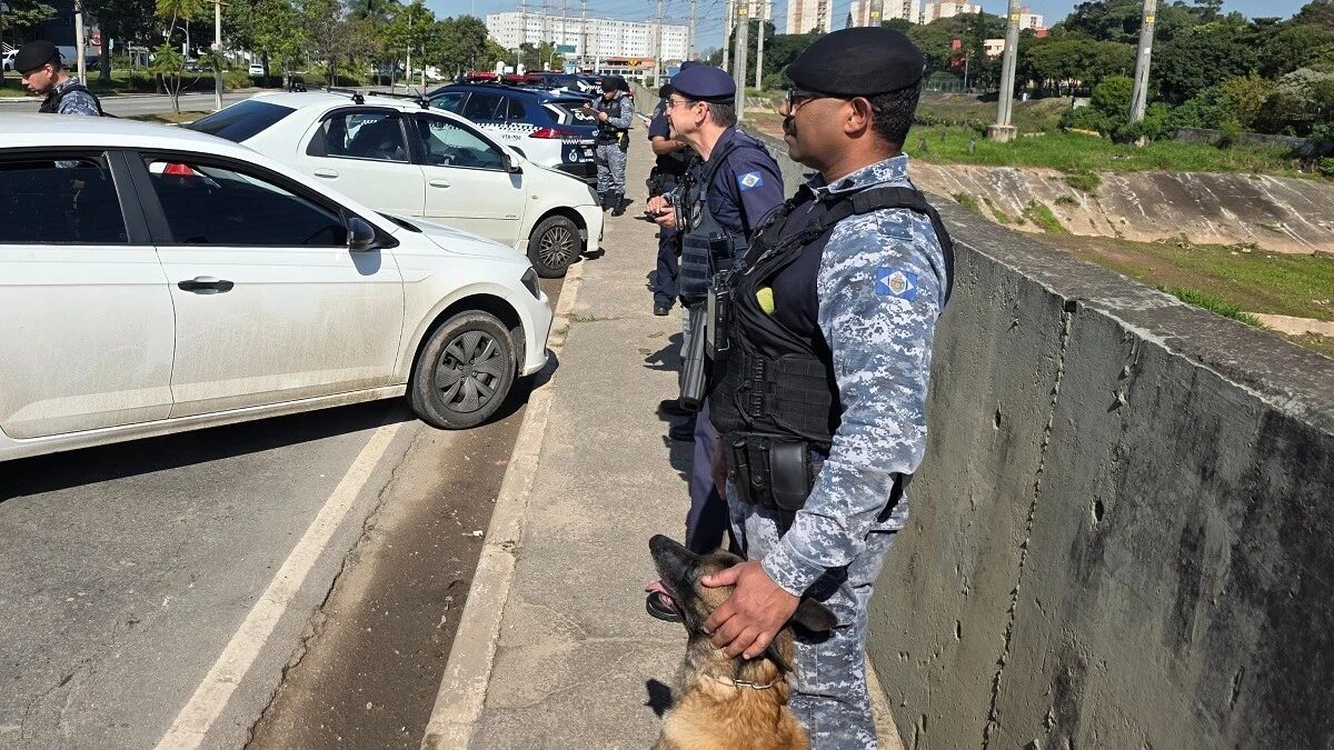 Guarda municipal com cão farejador em fiscalização em São Caetano