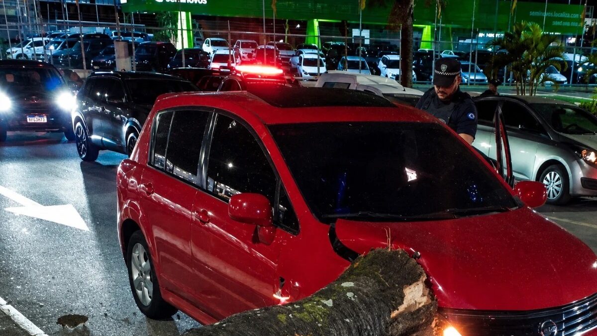 Guarda Civil Municipal atua em local de acidente de trânsito com árvore caída sobre carro no Centro de São Caetano