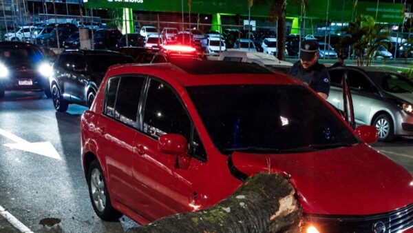 Guarda Civil Municipal atua em local de acidente de trânsito com árvore caída sobre carro no Centro de São Caetano