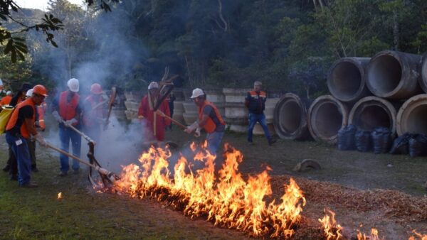 Equipe da Defesa Civil de Santo André em atividade de combate a fogo em vegetação