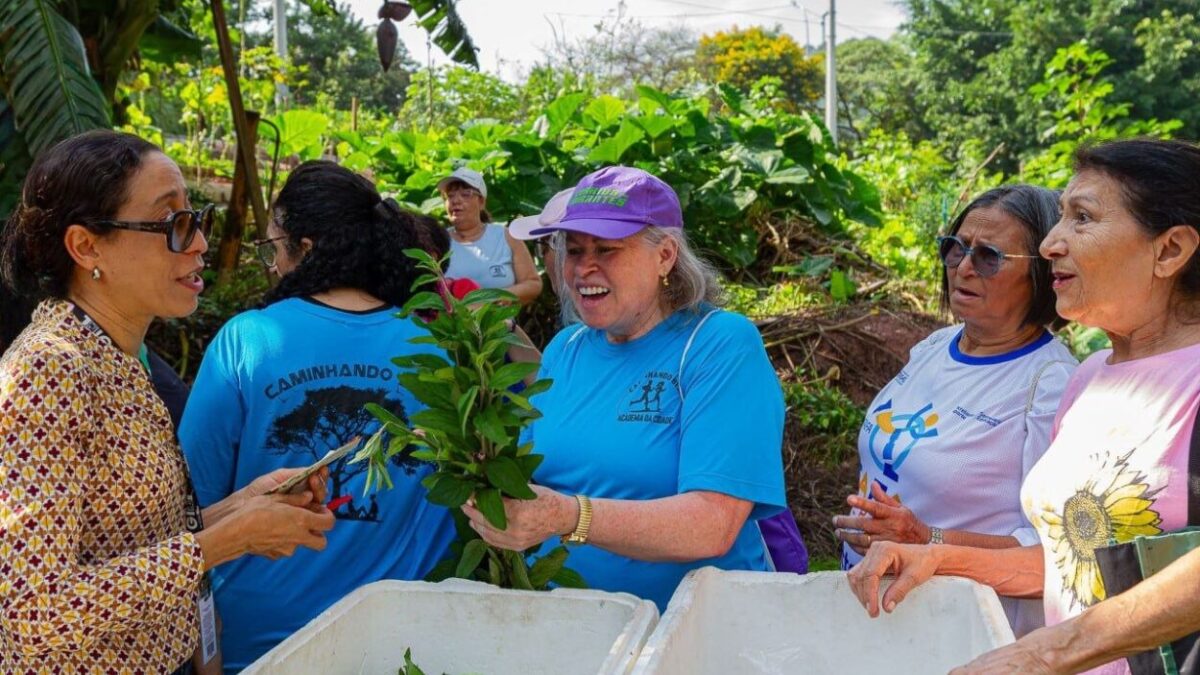 Participantes do programa Caminhando Bem em horta urbana de Diadema segurando mudas de ervas