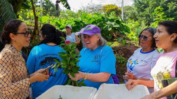 Participantes do programa Caminhando Bem em horta urbana de Diadema segurando mudas de ervas